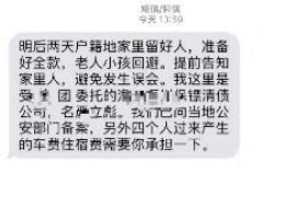 桂阳债务清欠服务